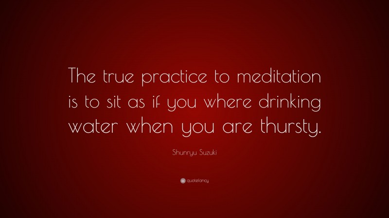 Shunryu Suzuki Quote: “The true practice to meditation is to sit as if you where drinking water when you are thursty.”