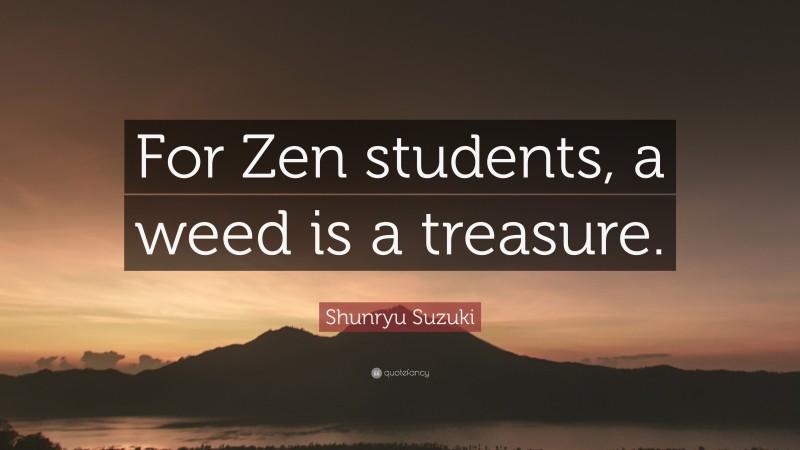 Shunryu Suzuki Quote: “For Zen students, a weed is a treasure.”