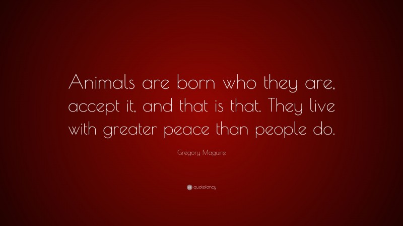 Gregory Maguire Quote: “Animals are born who they are, accept it, and that is that. They live with greater peace than people do.”