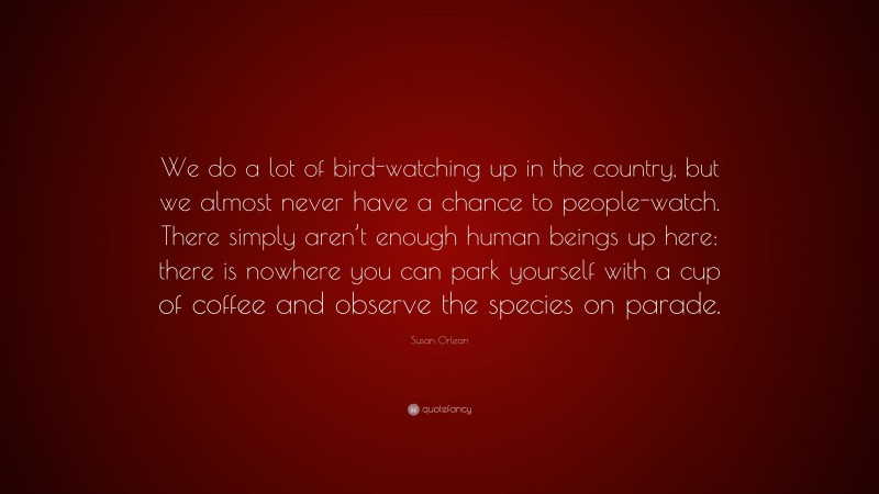 Susan Orlean Quote: “We do a lot of bird-watching up in the country, but we almost never have a chance to people-watch. There simply aren’t enough human beings up here: there is nowhere you can park yourself with a cup of coffee and observe the species on parade.”