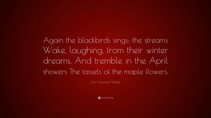 John Greenleaf Whittier Quote: “Again the blackbirds sings; the streams Wake, laughing, from their winter dreams, And tremble in the April showers The tassels of the maple flowers.”