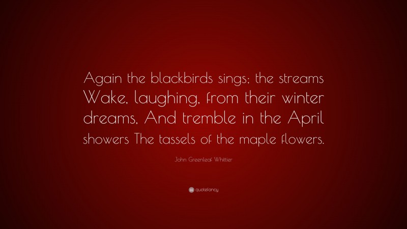 John Greenleaf Whittier Quote: “Again the blackbirds sings; the streams Wake, laughing, from their winter dreams, And tremble in the April showers The tassels of the maple flowers.”