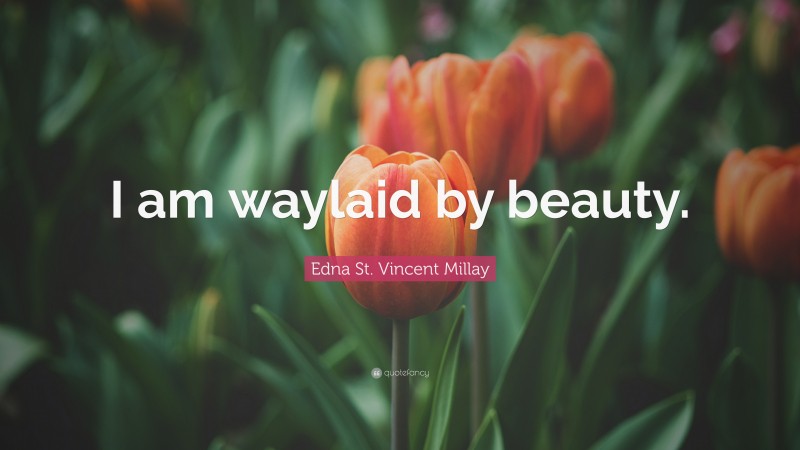 Edna St. Vincent Millay Quote: “I am waylaid by beauty.”