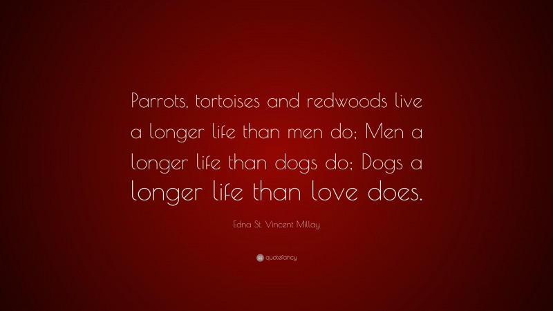 Edna St. Vincent Millay Quote: “Parrots, tortoises and redwoods live a longer life than men do; Men a longer life than dogs do; Dogs a longer life than love does.”
