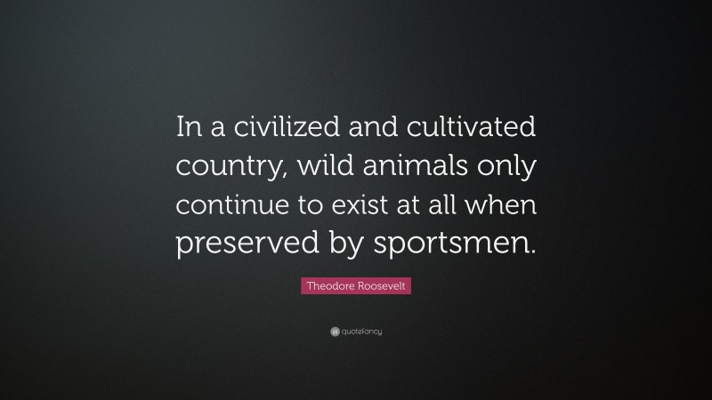 Theodore Roosevelt Quote: “In a civilized and cultivated country, wild animals only continue to exist at all when preserved by sportsmen.”