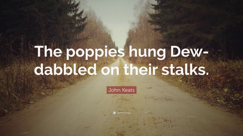 John Keats Quote: “The poppies hung Dew-dabbled on their stalks.”