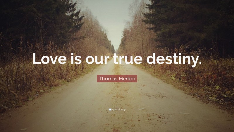 Thomas Merton Quote: “Love is our true destiny.”
