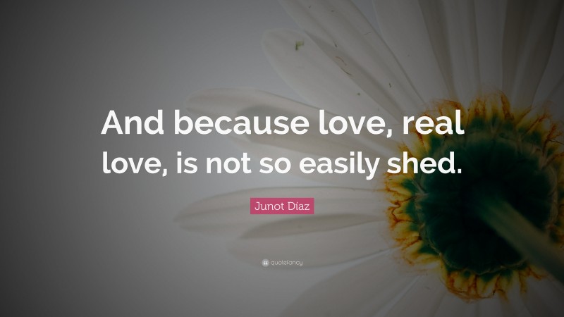 Junot Díaz Quote: “And because love, real love, is not so easily shed.”
