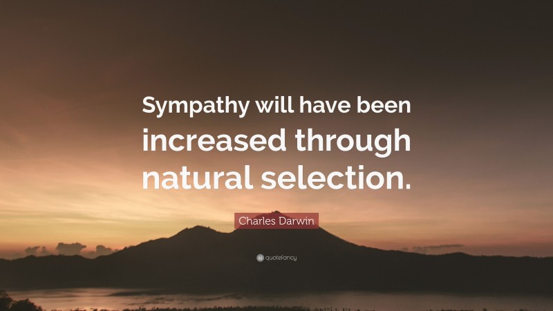 Charles Darwin Quote: “Sympathy will have been increased through natural selection.”