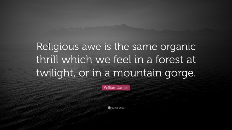 William James Quote: “Religious awe is the same organic thrill which we feel in a forest at twilight, or in a mountain gorge.”