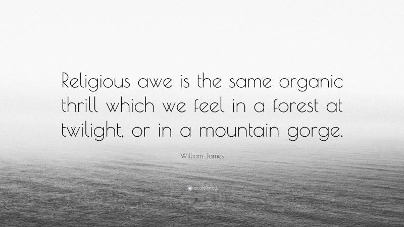 William James Quote: “Religious awe is the same organic thrill which we feel in a forest at twilight, or in a mountain gorge.”