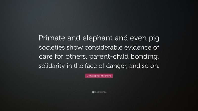 Christopher Hitchens Quote: “Primate and elephant and even pig societies show considerable evidence of care for others, parent-child bonding, solidarity in the face of danger, and so on.”