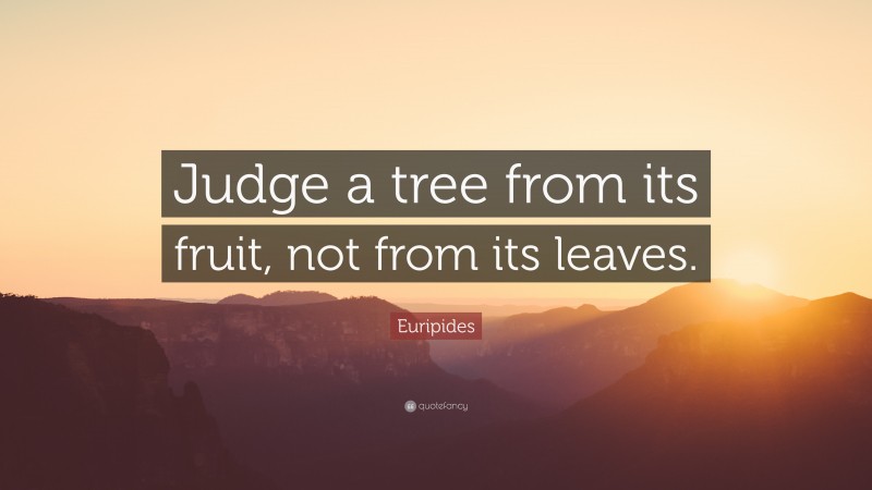 Euripides Quote: “Judge a tree from its fruit, not from its leaves.”