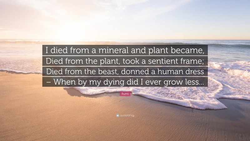 Rumi Quote: “I died from a mineral and plant became, Died from the plant, took a sentient frame; Died from the beast, donned a human dress – When by my dying did I ever grow less...”