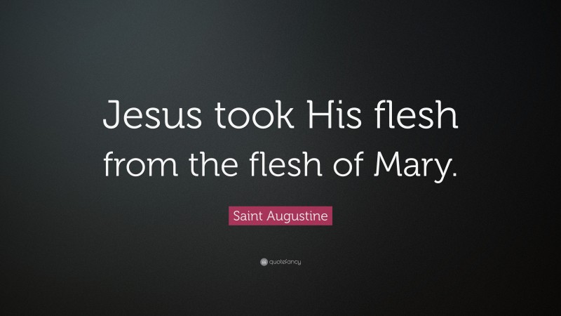 Saint Augustine Quote: “Jesus took His flesh from the flesh of Mary.”