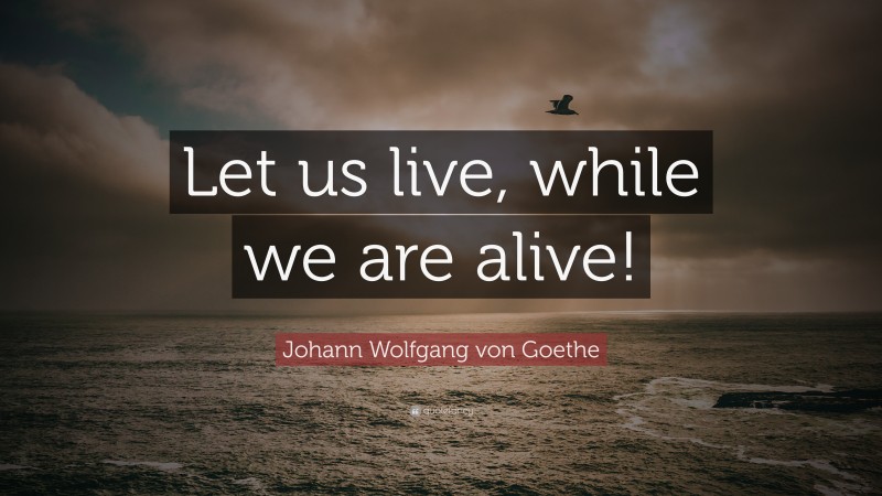 Johann Wolfgang von Goethe Quote: “Let us live, while we are alive!”