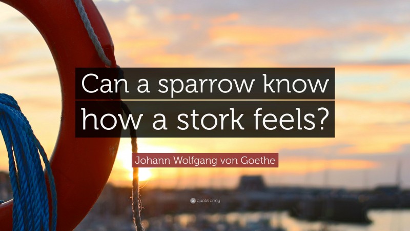 Johann Wolfgang von Goethe Quote: “Can a sparrow know how a stork feels?”