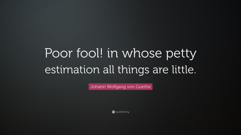 Johann Wolfgang von Goethe Quote: “Poor fool! in whose petty estimation all things are little.”
