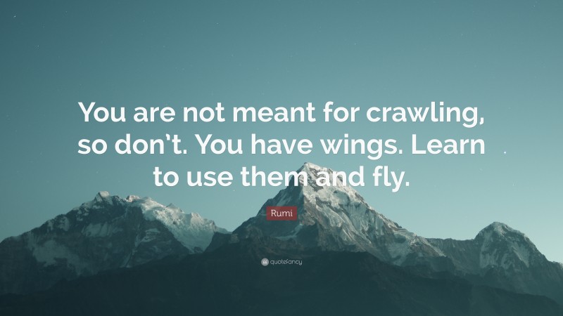 Rumi Quote: “You are not meant for crawling, so don’t. You have wings. Learn to use them and fly.”
