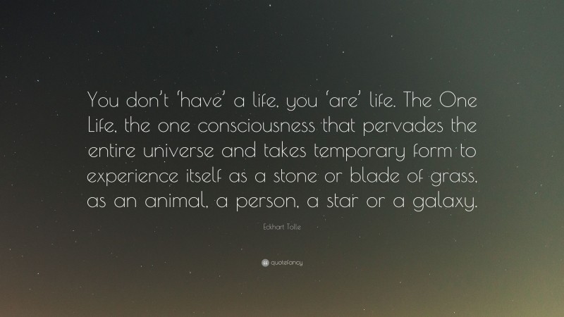Eckhart Tolle Quote: “You don’t ‘have’ a life, you ‘are’ life. The One Life, the one consciousness that pervades the entire universe and takes temporary form to experience itself as a stone or blade of grass, as an animal, a person, a star or a galaxy.”