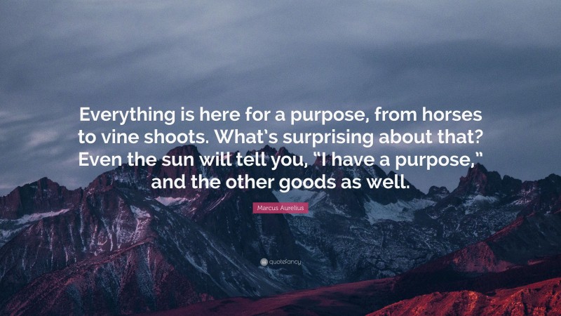 Marcus Aurelius Quote: “Everything is here for a purpose, from horses to vine shoots. What’s surprising about that? Even the sun will tell you, “I have a purpose,” and the other goods as well.”