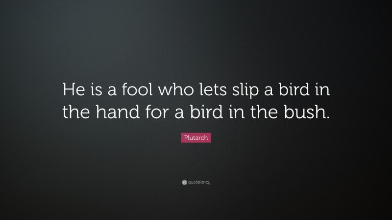 Plutarch Quote: “He is a fool who lets slip a bird in the hand for a bird in the bush.”