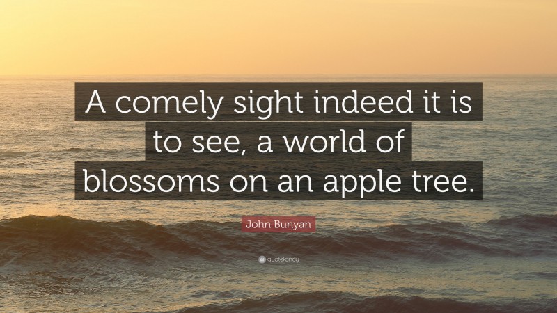 John Bunyan Quote: “A comely sight indeed it is to see, a world of blossoms on an apple tree.”