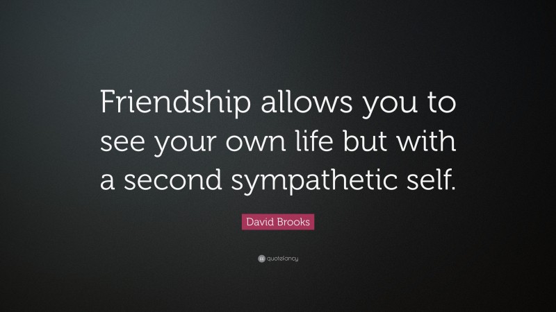 David Brooks Quote: “Friendship allows you to see your own life but with a second sympathetic self.”
