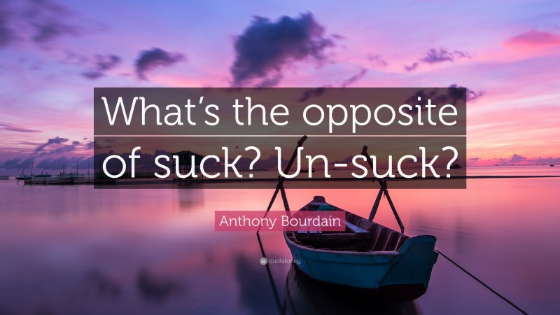 Anthony Bourdain Quote: “What’s the opposite of suck? Un-suck?”