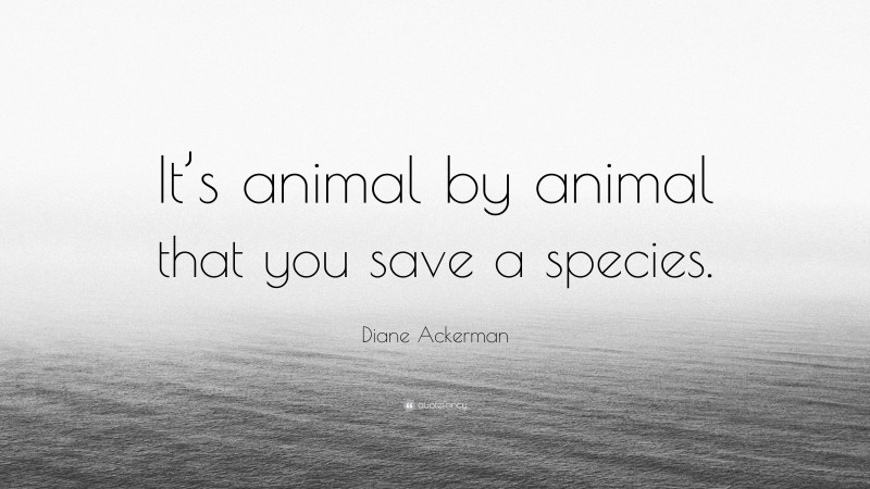 Diane Ackerman Quote: “It’s animal by animal that you save a species.”