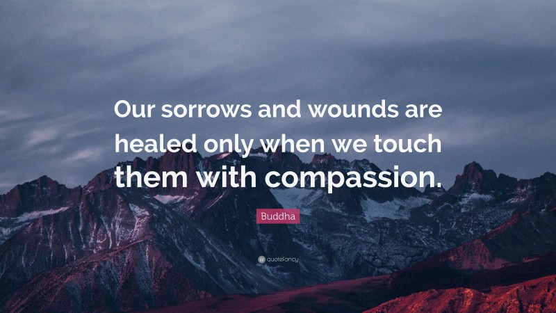 Buddha Quote: “Our sorrows and wounds are healed only when we touch them with compassion.”