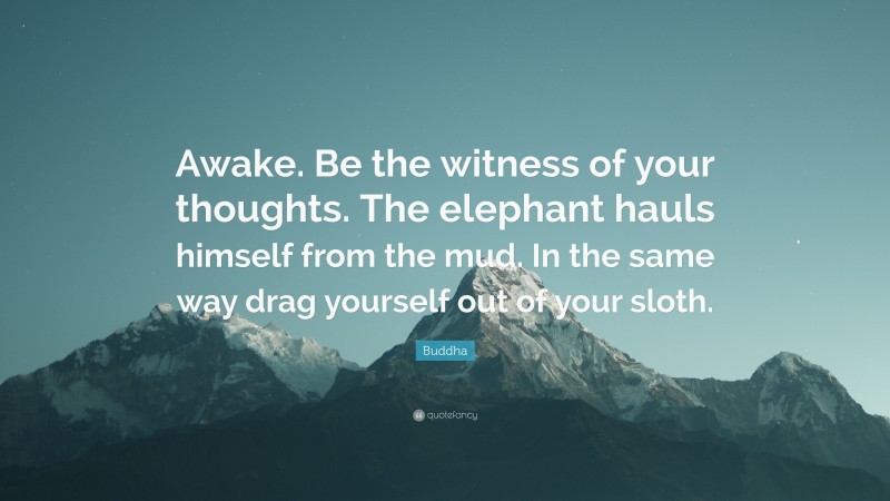 Buddha Quote: “Awake. Be the witness of your thoughts. The elephant hauls himself from the mud. In the same way drag yourself out of your sloth.”