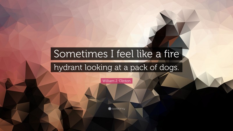 William J. Clinton Quote: “Sometimes I feel like a fire hydrant looking at a pack of dogs.”