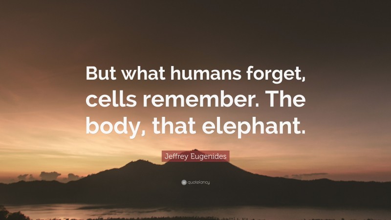 Jeffrey Eugenides Quote: “But what humans forget, cells remember. The body, that elephant.”