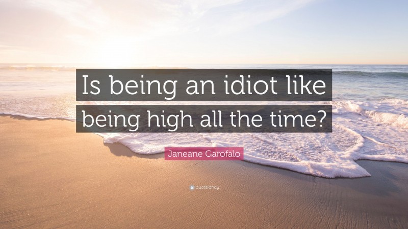 Janeane Garofalo Quote: “Is being an idiot like being high all the time?”
