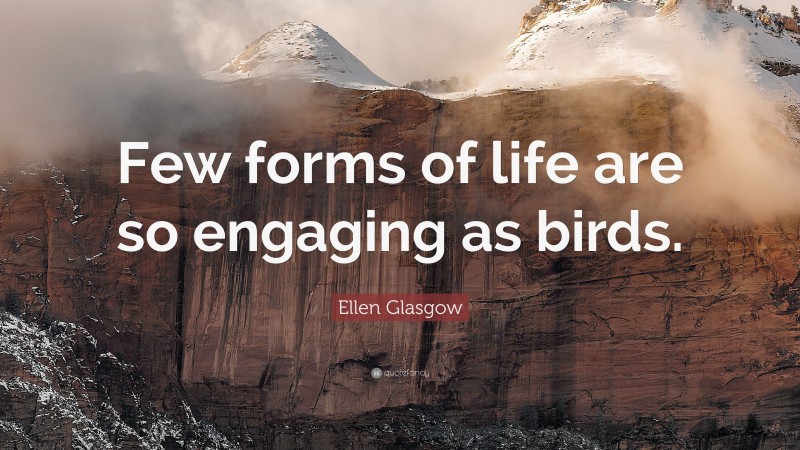 Ellen Glasgow Quote: “Few forms of life are so engaging as birds.”