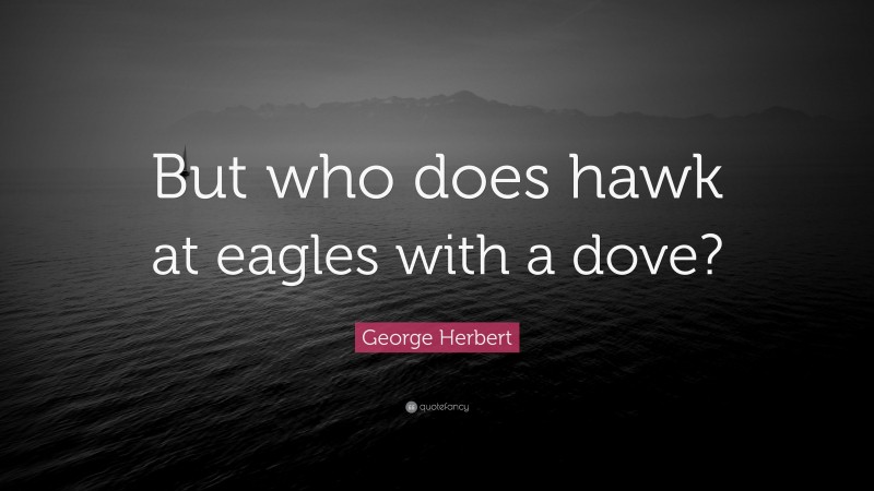 George Herbert Quote: “But who does hawk at eagles with a dove?”