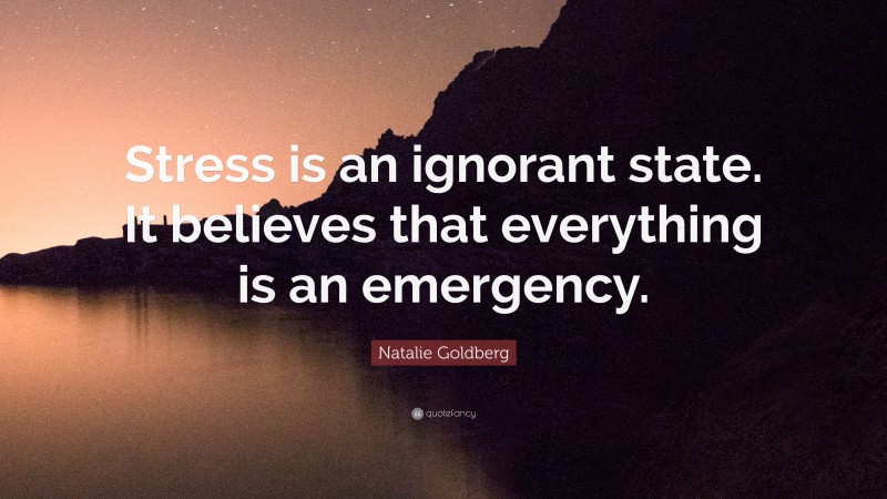 Natalie Goldberg Quote: “Stress is an ignorant state. It believes that everything is an emergency.”