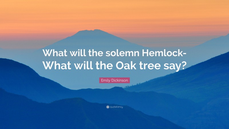 Emily Dickinson Quote: “What will the solemn Hemlock- What will the Oak tree say?”