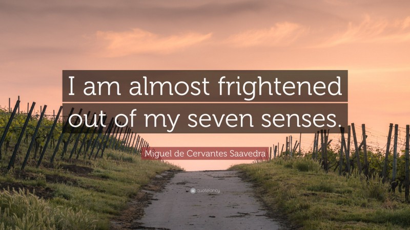 Miguel de Cervantes Saavedra Quote: “I am almost frightened out of my seven senses.”