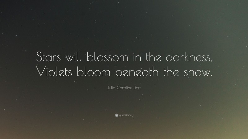 Julia Caroline Dorr Quote: “Stars will blossom in the darkness, Violets bloom beneath the snow.”