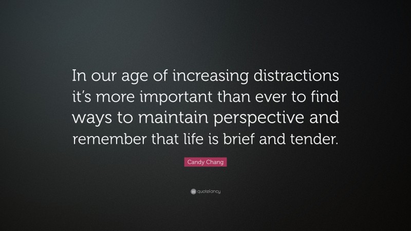 Candy Chang Quote: “In our age of increasing distractions it’s more important than ever to find ways to maintain perspective and remember that life is brief and tender.”