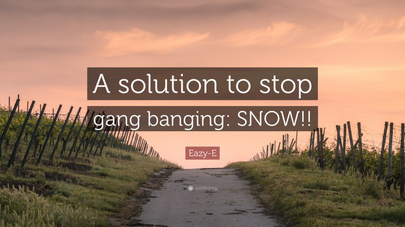 Eazy-E Quote: “A solution to stop gang banging: SNOW!!”