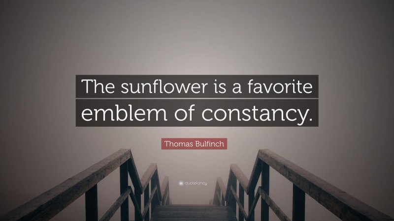Thomas Bulfinch Quote: “The sunflower is a favorite emblem of constancy.”