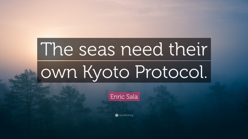 Enric Sala Quote: “The seas need their own Kyoto Protocol.”