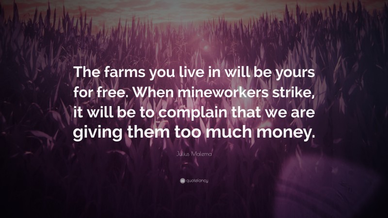 Julius Malema Quote: “The farms you live in will be yours for free. When mineworkers strike, it will be to complain that we are giving them too much money.”