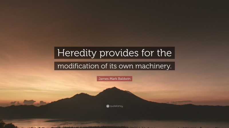 James Mark Baldwin Quote: “Heredity provides for the modification of its own machinery.”