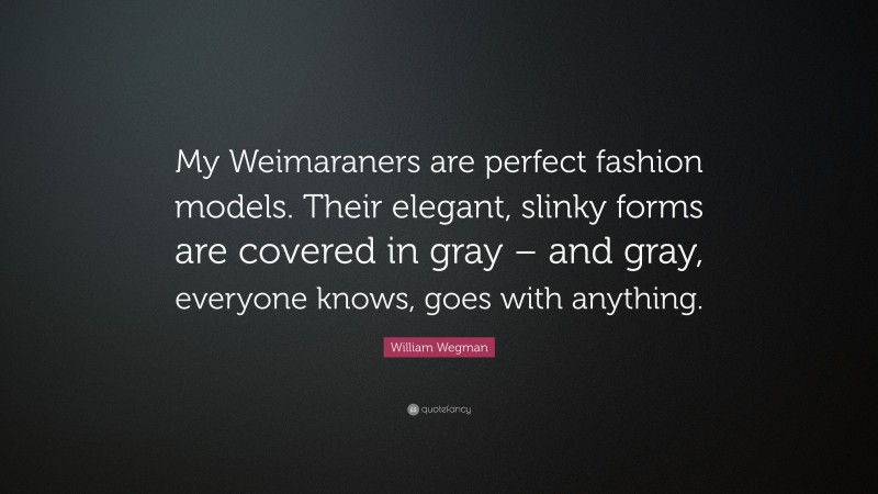 William Wegman Quote: “My Weimaraners are perfect fashion models. Their elegant, slinky forms are covered in gray – and gray, everyone knows, goes with anything.”