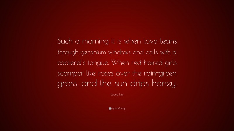 Laurie Lee Quote: “Such a morning it is when love leans through geranium windows and calls with a cockerel’s tongue. When red-haired girls scamper like roses over the rain-green grass, and the sun drips honey.”