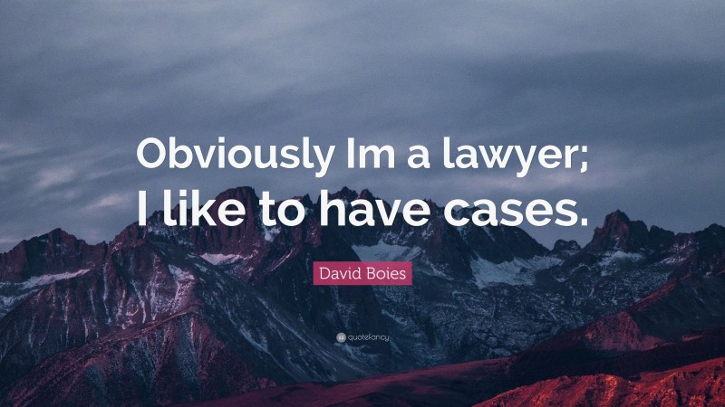 David Boies Quote: “Obviously Im a lawyer; I like to have cases.”